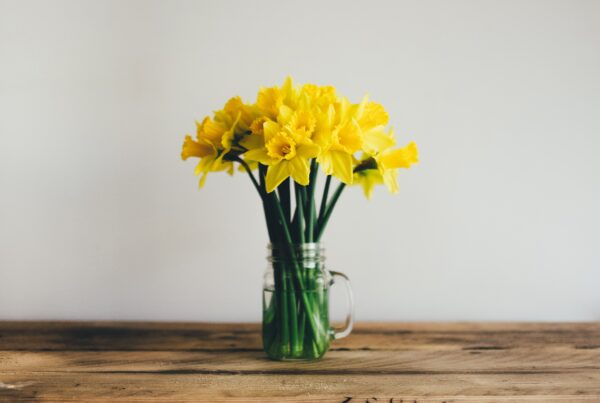 Daffodils in a glass jar